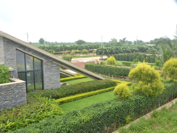 Kalpvriksh Plots & Luxury Villas for Sale | Your Dream Home