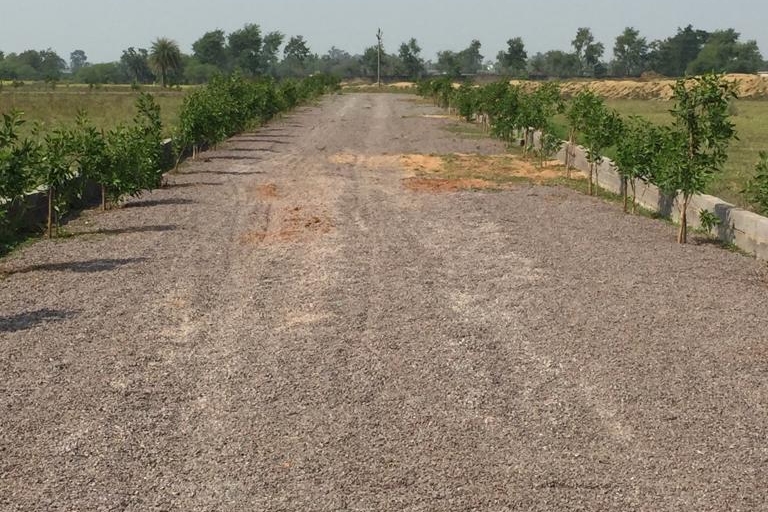 Farmhouse Plots in New Raipur | Secure Gated Campus