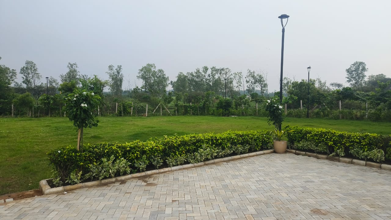 WhatsApp Image 2025-08-19 at 4.45.32 PM