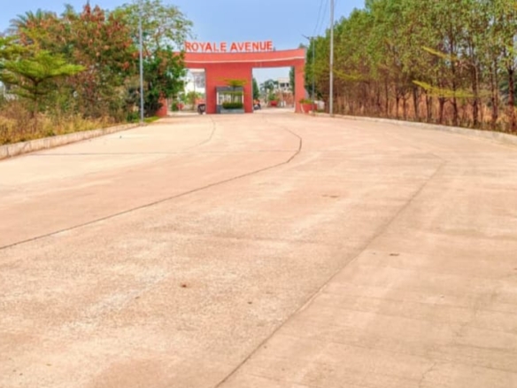 Plots & Land for Sale in Vidhan Sabha, Raipur