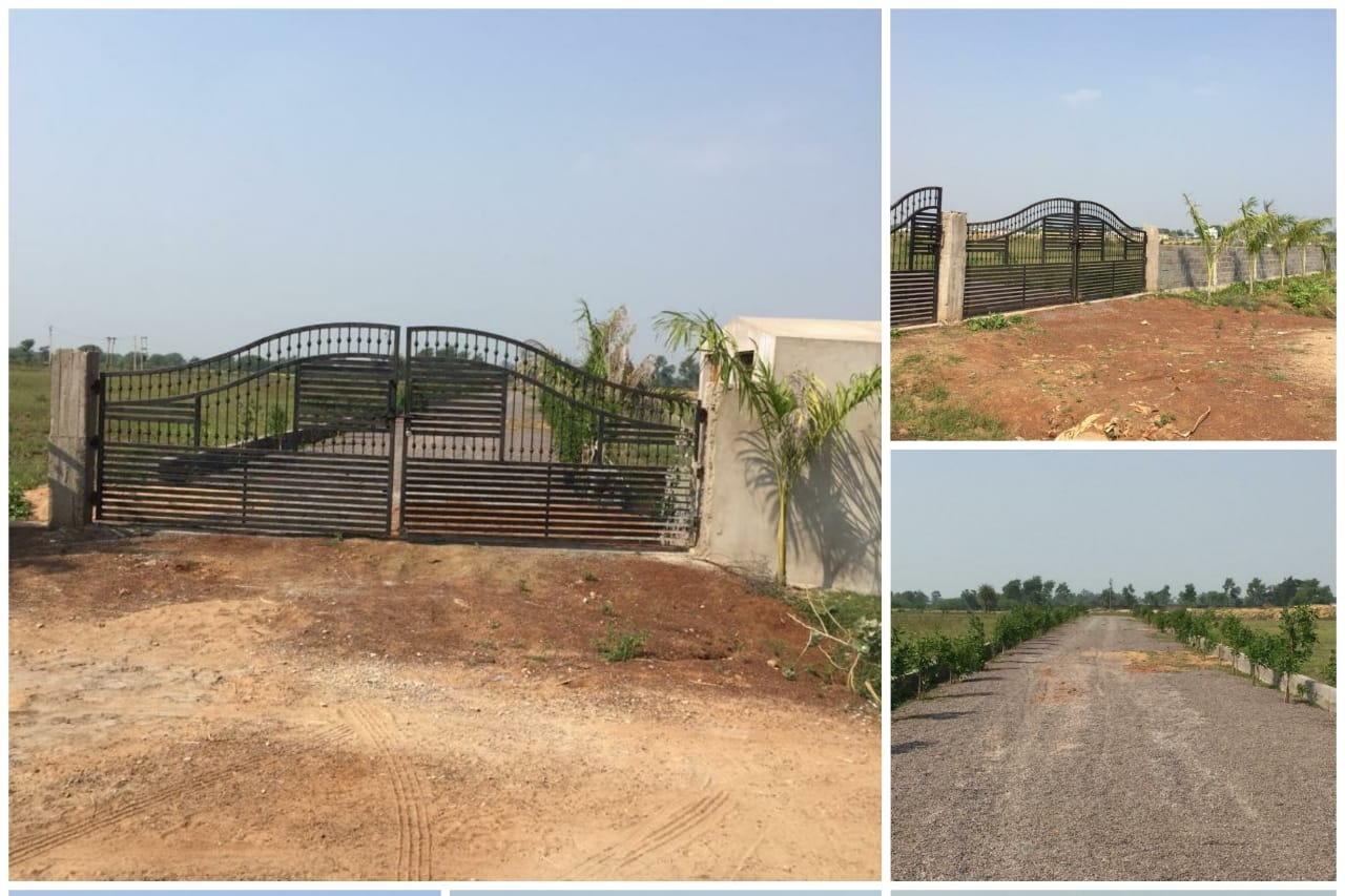 Luxury Farmhouse Plots near New Raipur | Your Green Escape