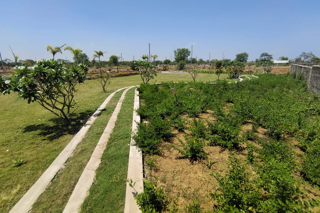 Ashtvinayak City Raipur | Plots near Kamal Vihar & Sejbahar