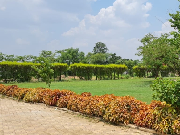 Foresta Raipur | Premium Residential Plots on Old Dhamtari Road