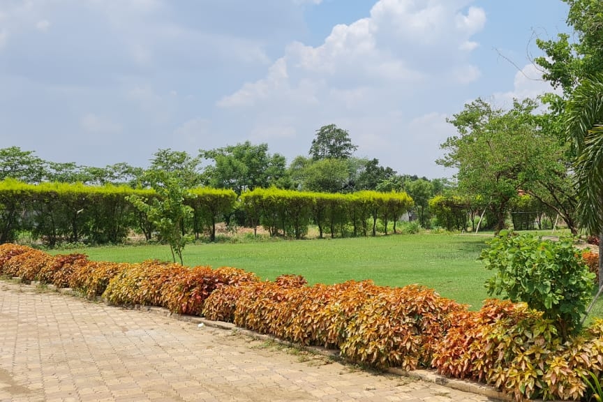 Foresta Raipur | Premium Residential Plots on Old Dhamtari Road