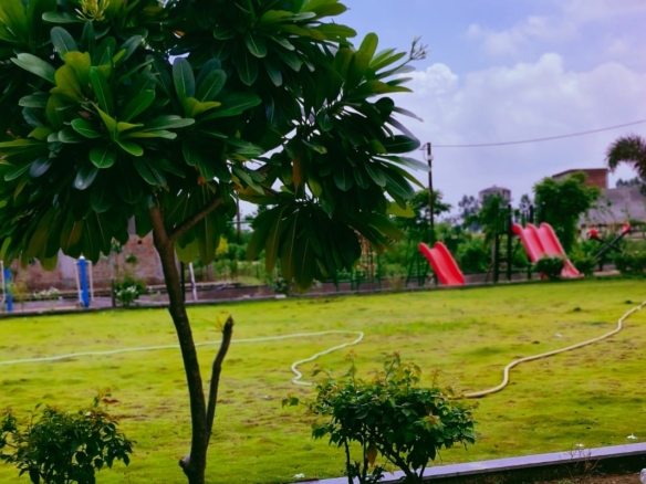 Raheja Greens Raipur | Residential Plots in Jora-Pirda