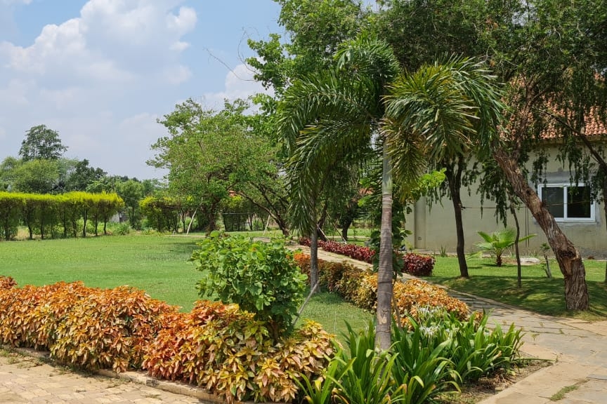 Residential Plot Old Dhamtari Road, Raipur