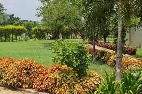 Plot In Raipur Chhattisgarh - kalpvriksh Residential plot