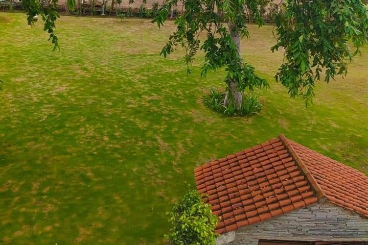 Foresta Raipur | Ultra-Luxury Residential Project at Pre-Launch Price