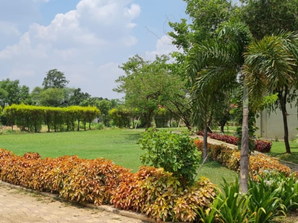 The grand forest-themed entrance of Foresta, Old Dhamtari Road—where luxury meets nature.