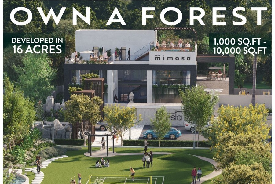 WhatsApp Image 2026-03-24 at 7.57.22 PM Foresta Raipur | Premium Residential Plots on Old Dhamtari Road