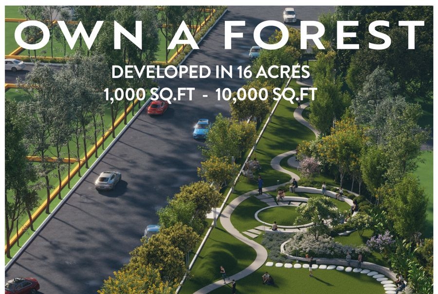 Foresta Raipur | Premium Residential Plots on Old Dhamtari Road